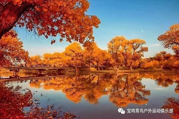 利路修得知自己排名后的反应，具体反应是怎么样的？游戏画面
