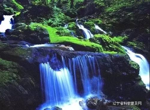 常昊:天元增加预选希望年轻人走出来 芈昱廷:一起下出精彩